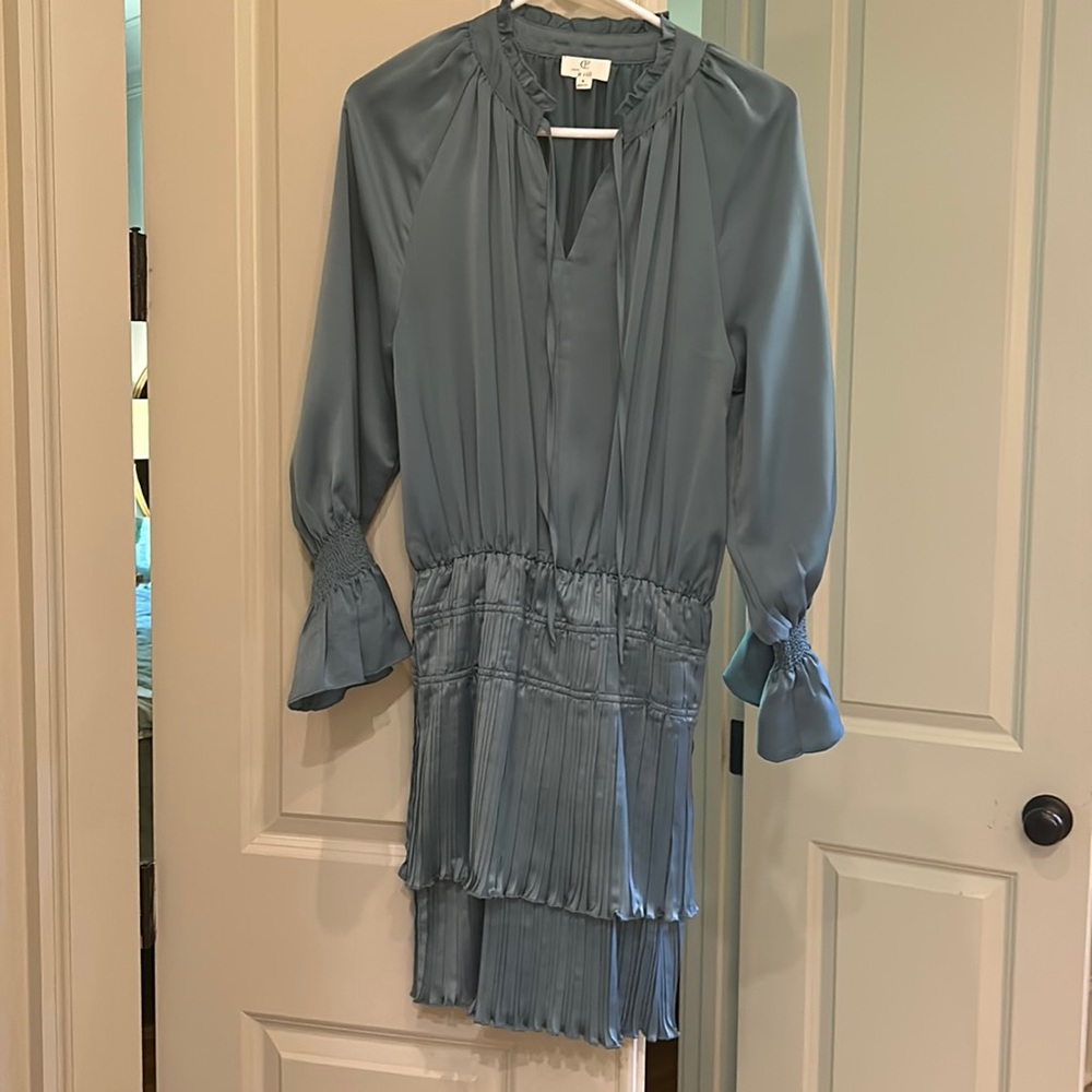 P Cill dress